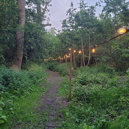 Ecolodges De Dreef Guesthouse Renesse Luaran gambar
