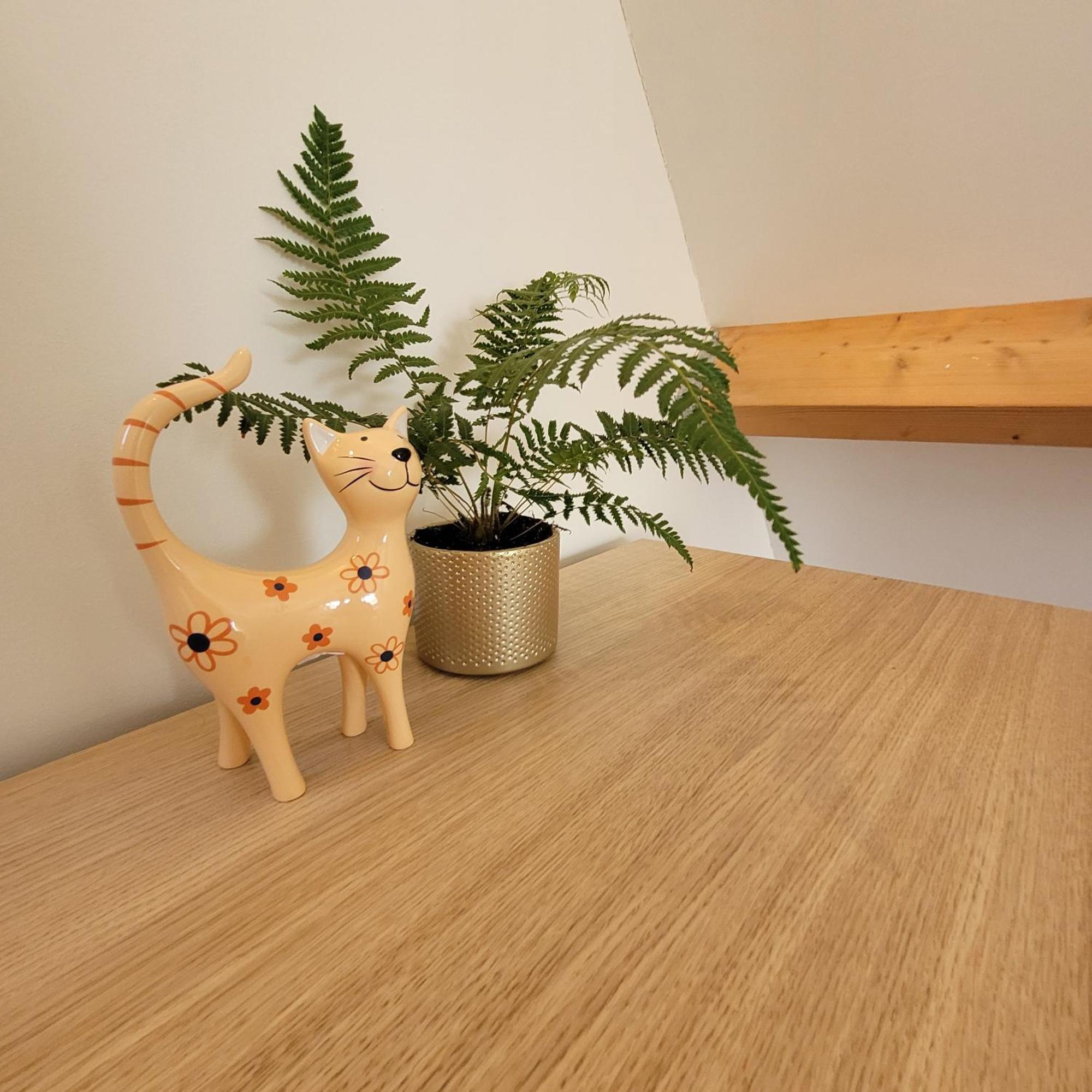Ecolodges De Dreef Guesthouse Renesse Luaran gambar
